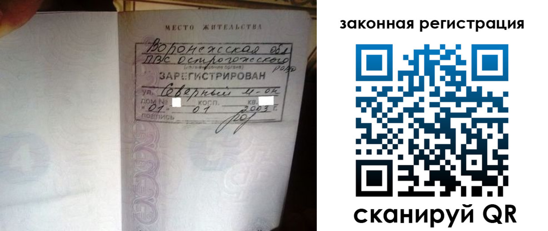 прописка поиск в Волосово